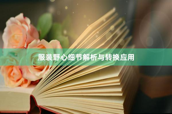 服装野心细节解析与转换应用