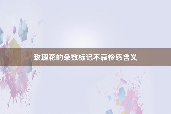 玫瑰花的朵数标记不哀怜感含义