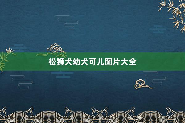 松狮犬幼犬可儿图片大全
