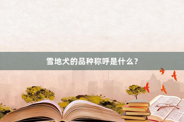 雪地犬的品种称呼是什么?
